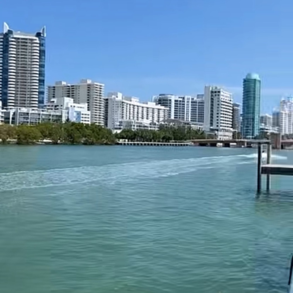 Meet your Posher, Carolina